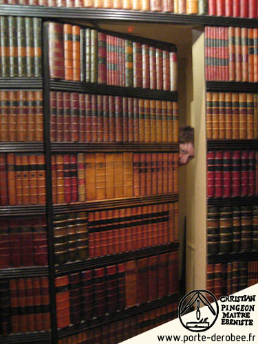 Porte drobe dans une bibliothque forme dos de livres